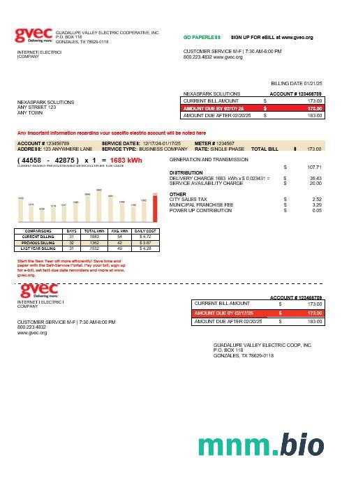 Szablon rachunku za media Biznesowe w USA Texas Gvec w formatach Word i PDF